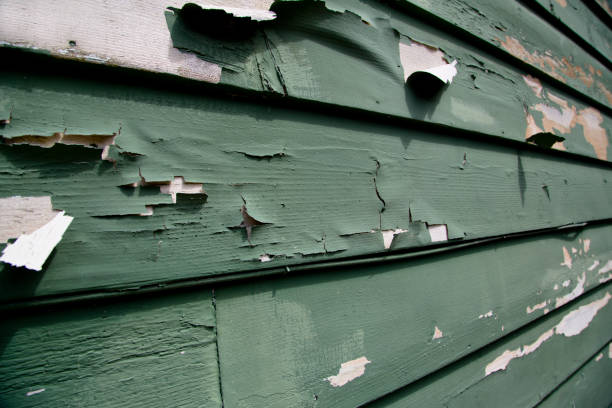 Best Siding for New Construction  in Bristol, VA