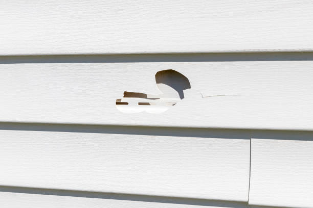 Best Fascia and Soffit Installation  in Bristol, VA