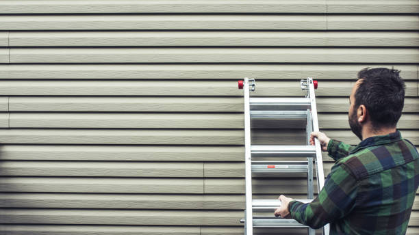 Best Stone Veneer Siding  in Bristol, VA